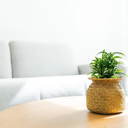 Le Cosy T2 Calme Apartment